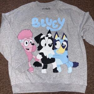 Women’s Gray Bluey Sweater